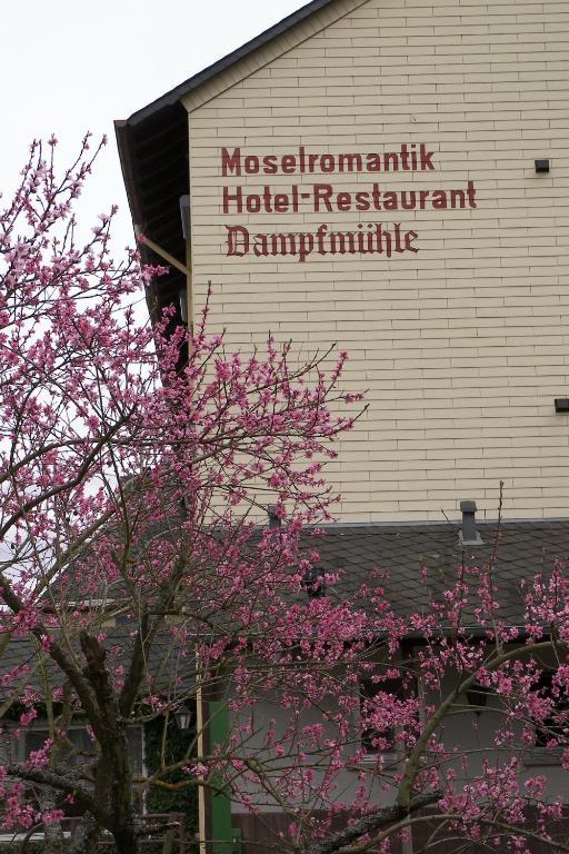 Hotel Dampfmühle Enkirch Exterior foto